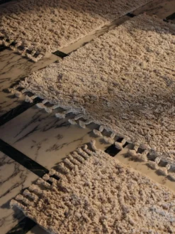 Amass Long Pile Rug