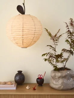 Apple Lampshade