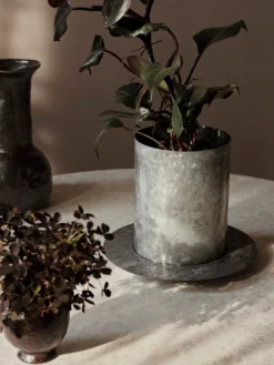 Auran Pot