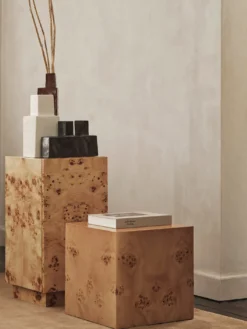 Burl Cube Side Table