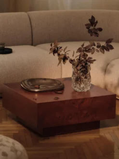 Burl Storage Coffee Table