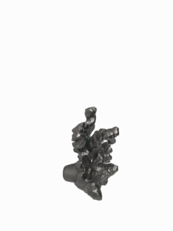 Comber Coral Branch Hook