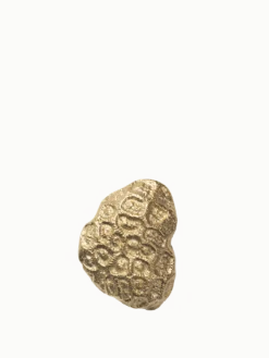 Comber Coral Hook