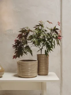 Corduroy Vase