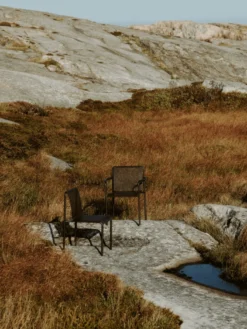 Dapple Chair with Arms