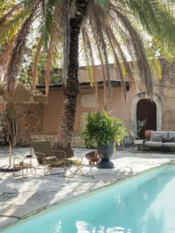 Desert Lounge Chair - Olive