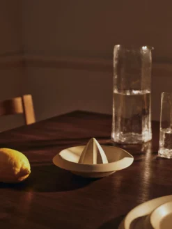 Erena Citrus Juicer