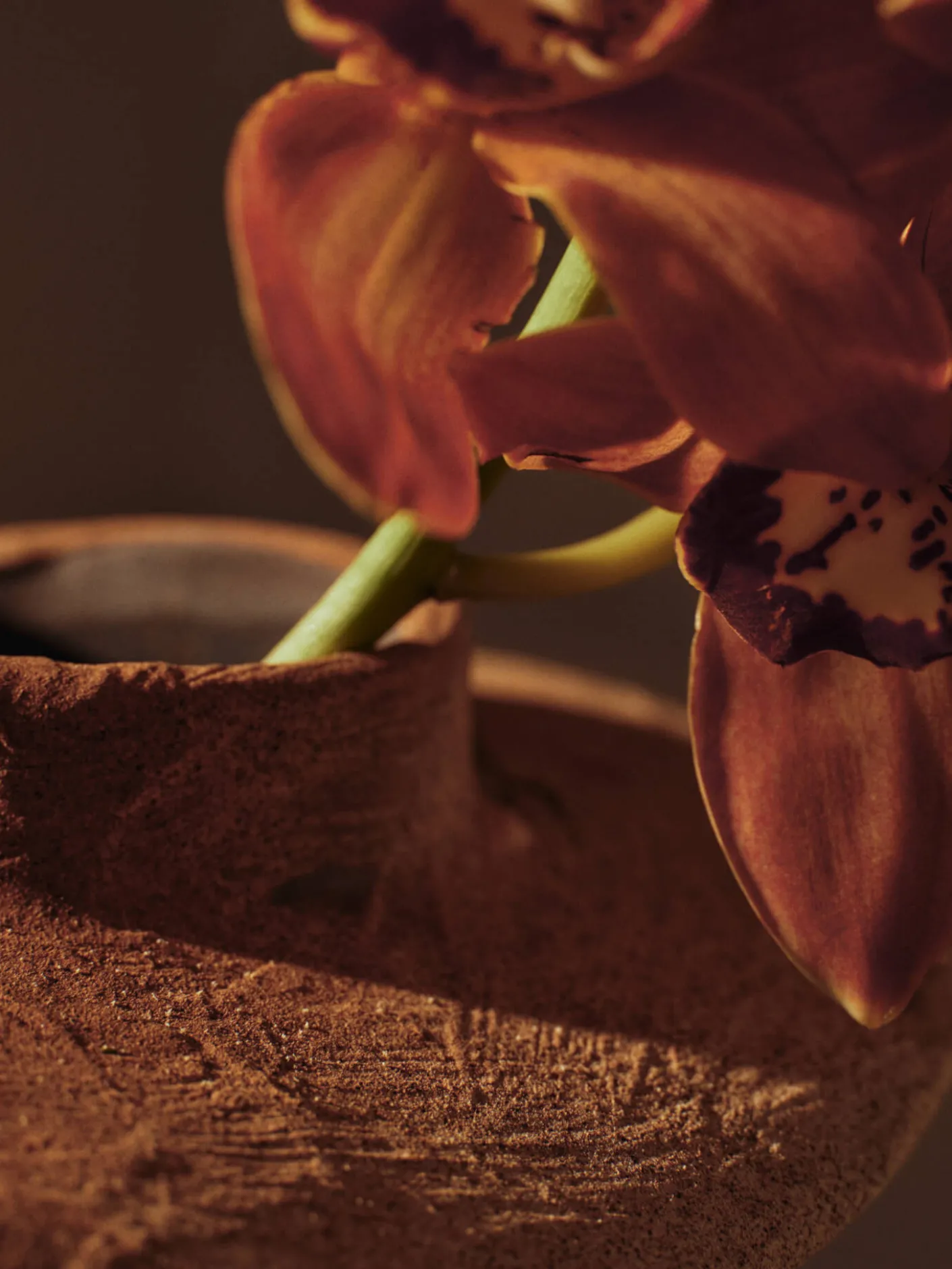 Evio Vase - Small