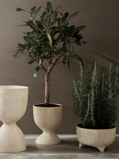 Evoke Pot - Medium