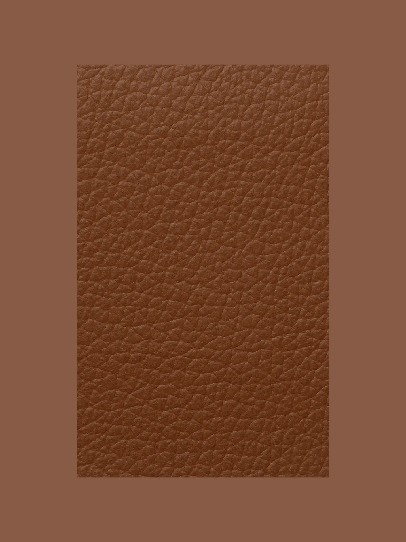 Fabric Sample - Leather - Ultra