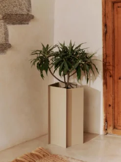 Fragma Planter - Large