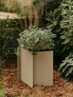 Fragma Planter - Small