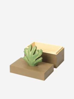 Harbour Box - Coral