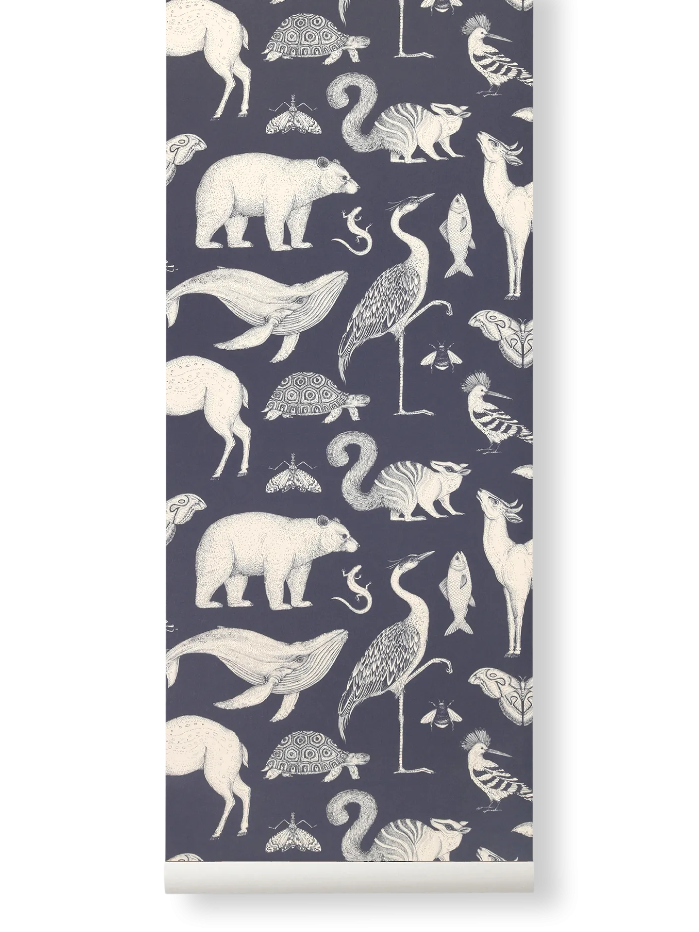 Katie Scott Wallpaper - Animals
