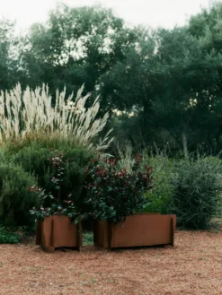 Lapel Planter - Rectangular