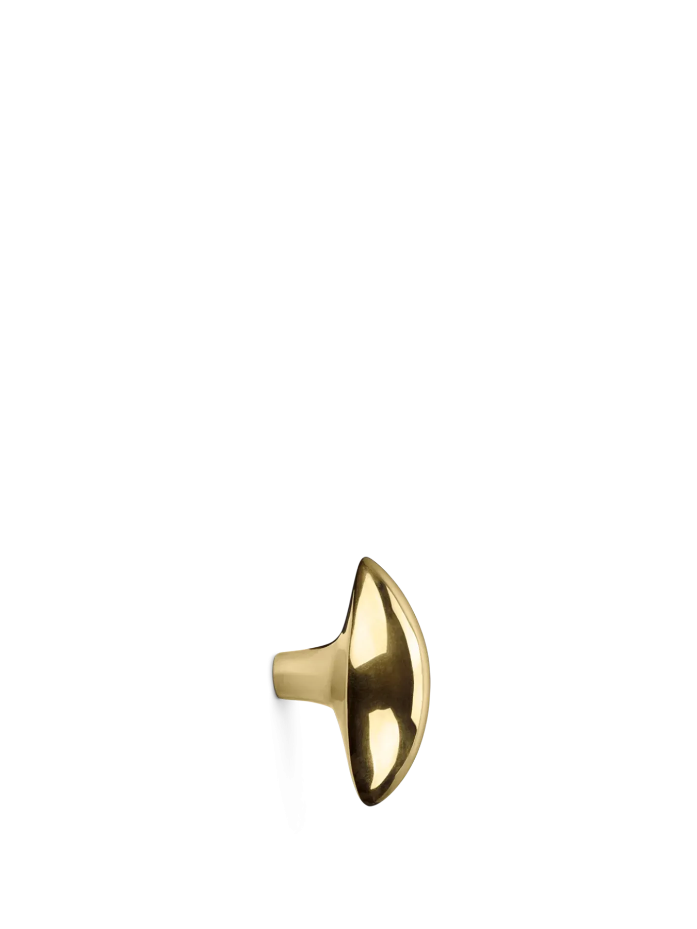 Lemon Hook