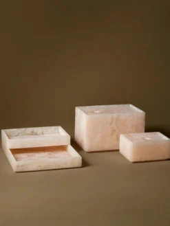 Mist Tray
