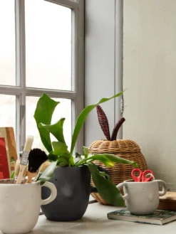 Mus Plant Pot - XL