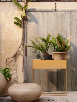Plant Box