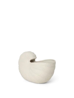 Shell Pot