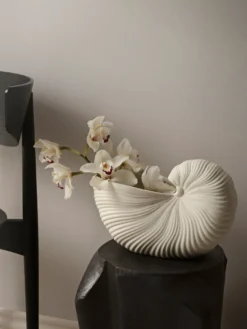Shell Pot