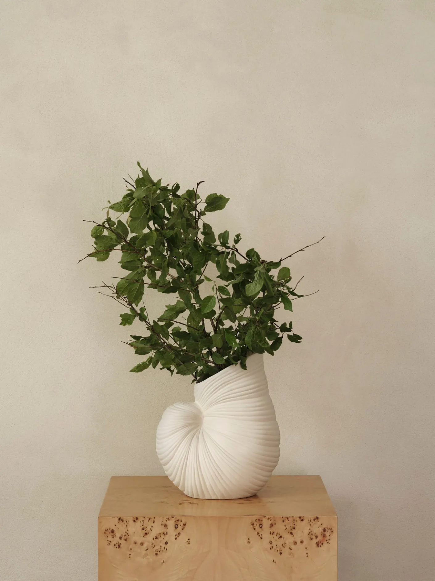 Shell Vase