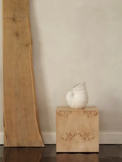 Shell Vase