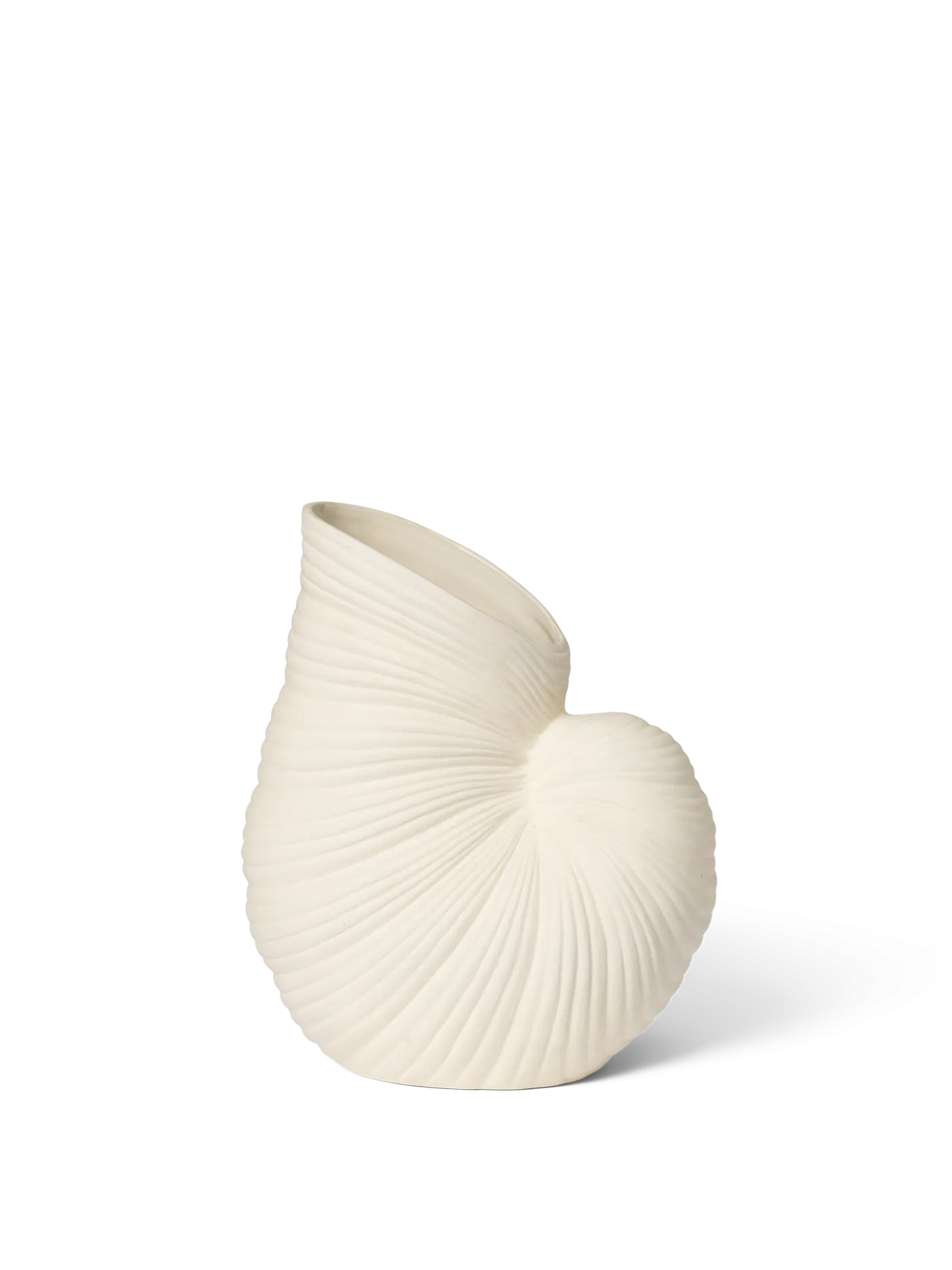 Shell Vase