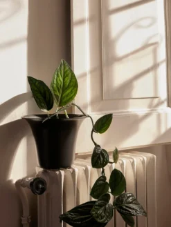 Spun Alu Pot