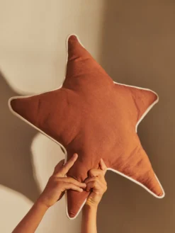 Star Cushion